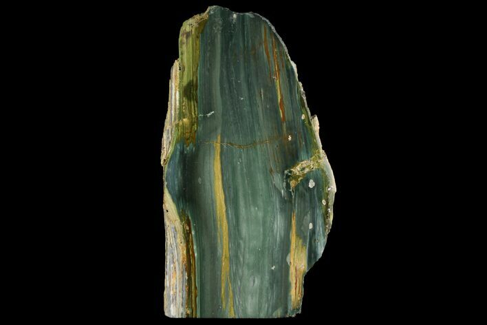 Gary Green Jasper (Larsonite) Bog Wood Stand Up - Oregon #141246